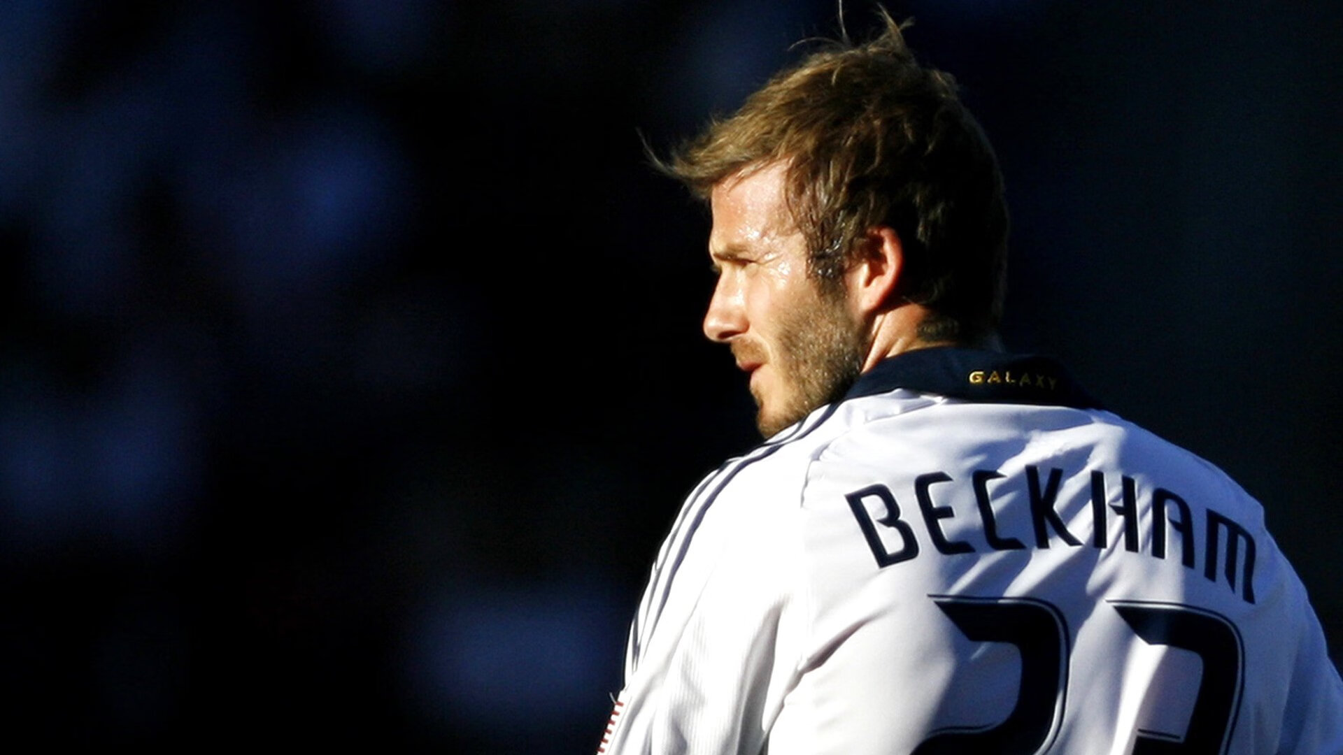 Team Liquid新赛季强势开局