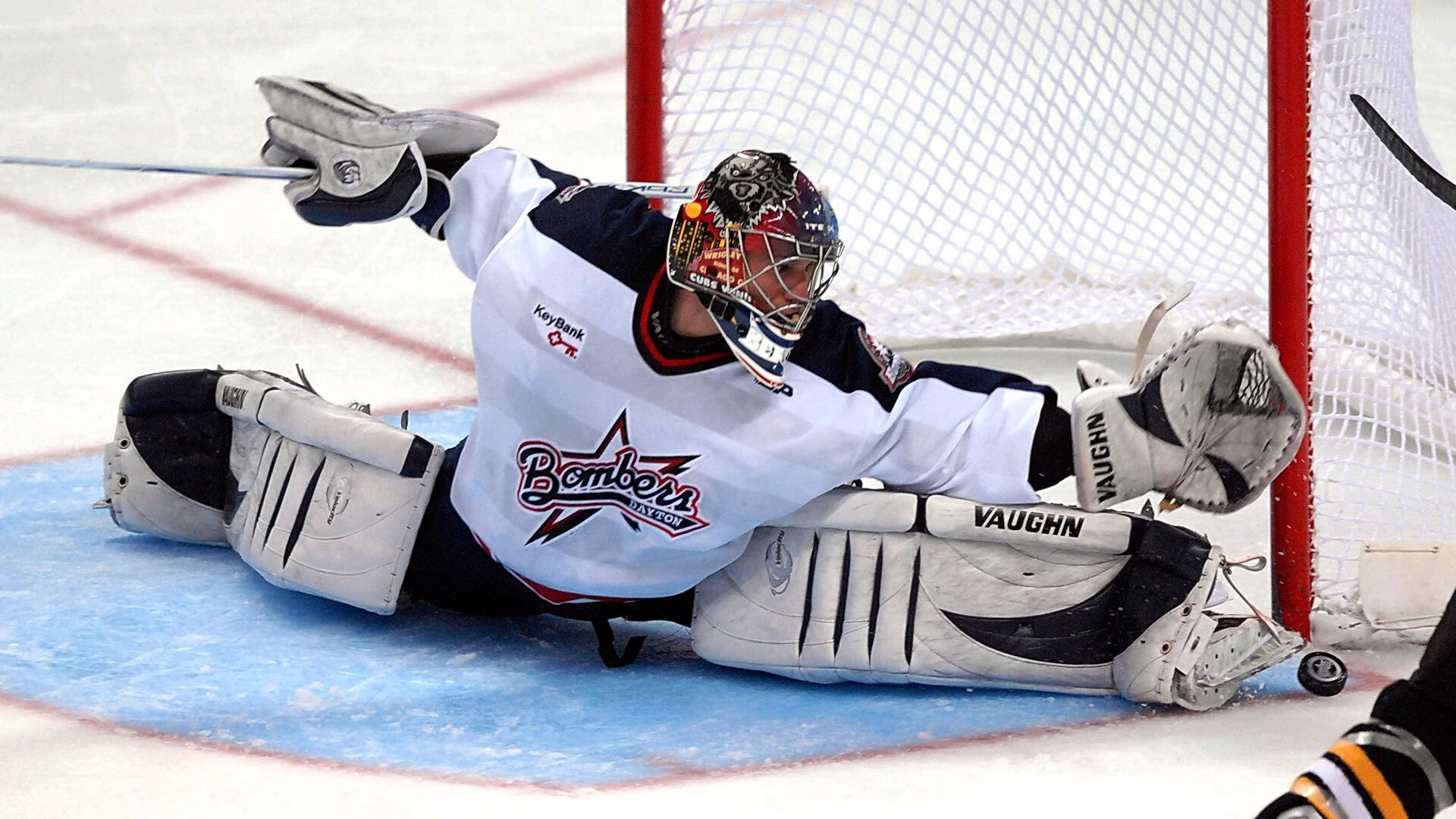 洛杉矶FC球员获选月度最佳，表现突出，洛杉矶fc球队